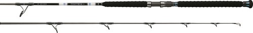 Daiwa proteus offshore - daiwa, ex