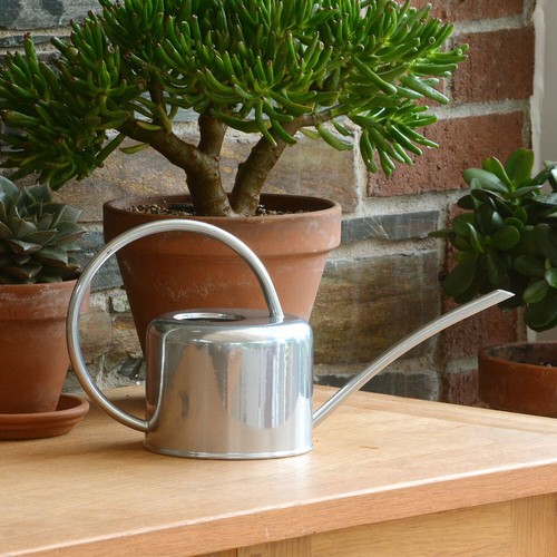 Indoor watering can silver - watering,