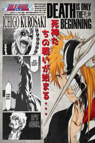 Bleach anime poster print - anime,