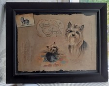 Vintage Pollyanna Pickering