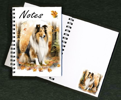 Rough collie dog - rough,