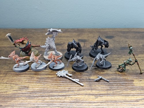 Warhammer various seraphon - various,