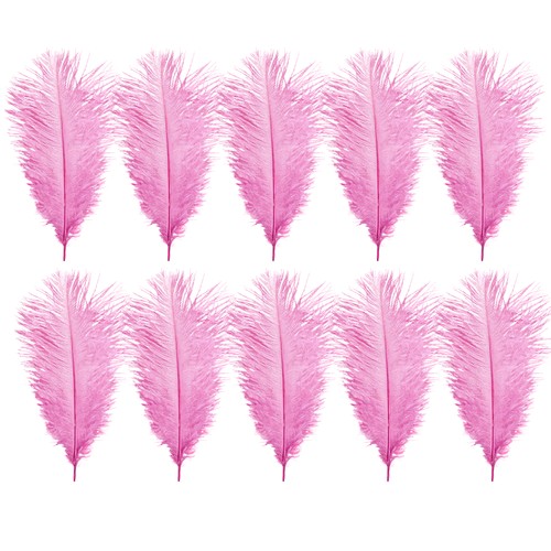 Natural ostrich feathers - natural,
