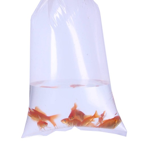 Aquarium fish transport bags - transport,