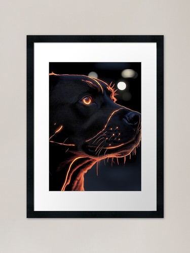 Rottweiler dog gold ember - dog,