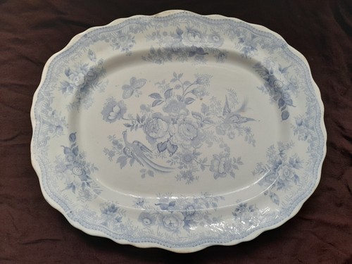 Vintage asiatic pheasants - asiatic,