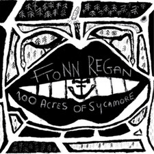 Fionn Regan 100 Acres of