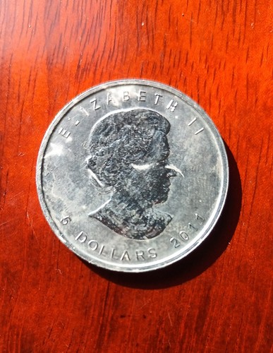 Canadian maple leaf 1oz - leaf,