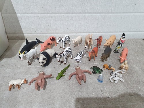 Large lot safari - lot, ocean