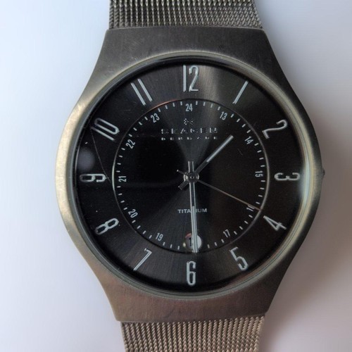 Skagen 233xlttm titanium - 233xlttm,
