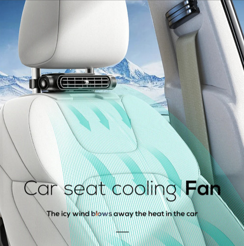 Car back rear - rear, seat