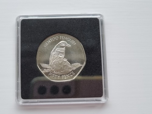 2020 falkland islands gentoo - falkland,