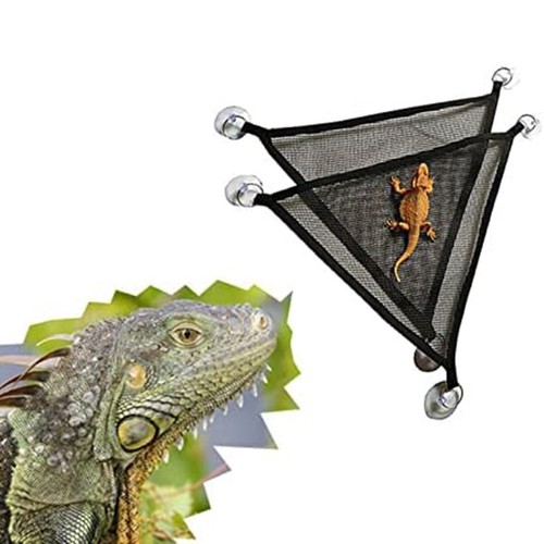 Bearded dragon swing pet - bearded,