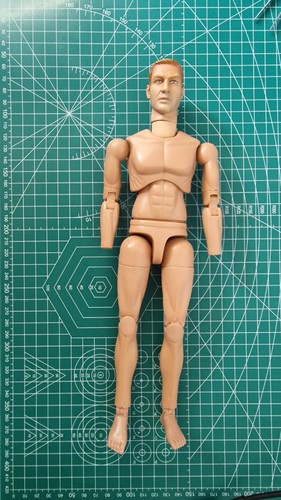 Scale accessories nude - accessories-,