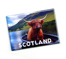 SCOTLAND Cow in the Boat