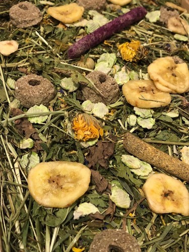Forage box for guinea pigs - forage,