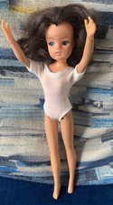 Pedigree Active Sindy