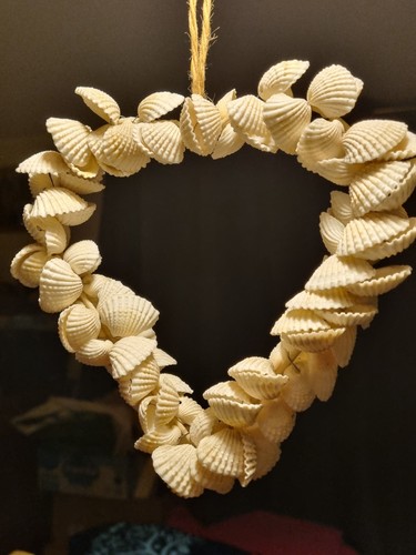 Cockle shell heart hanging - cockle,