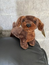 Gosh! Designs Sausage Dog