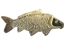 Common Carp Freshwater Game