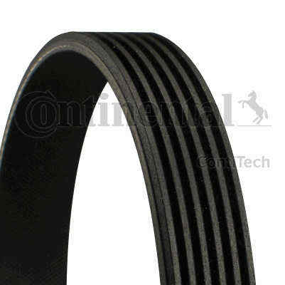 Contitech continental ribbed - contitech, v