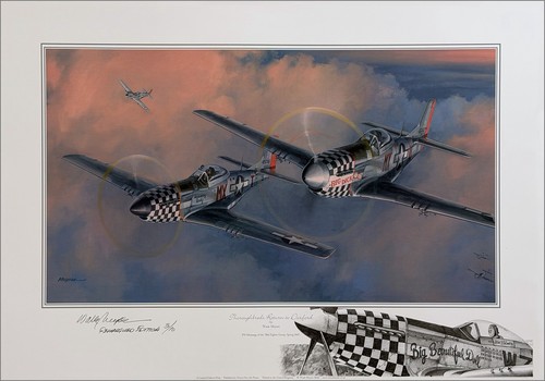 Wwii aviation art 78th - wwii,
