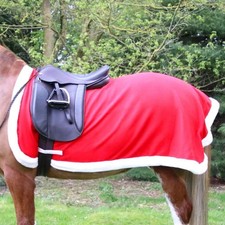 Hy Equestrian Christmas Santa