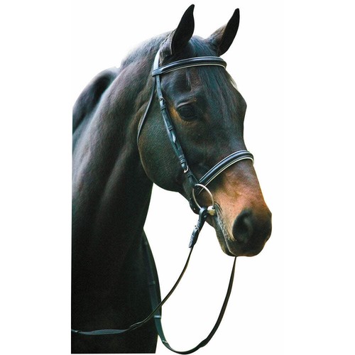 Henri rivel pro padded - henri, de