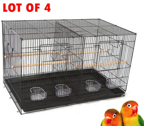 Lot large breeding flight - lot, of