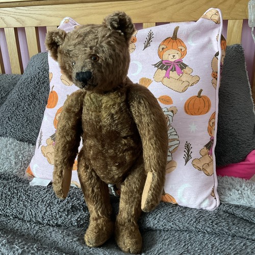 Antique steiff bear 1920 - antique,