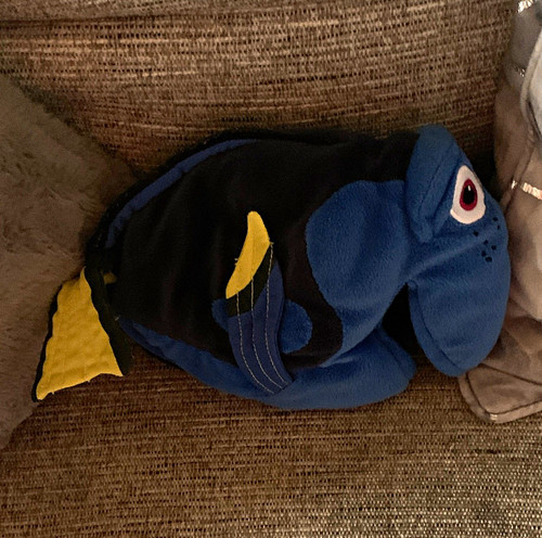 Disney pixar finding dory - disney,