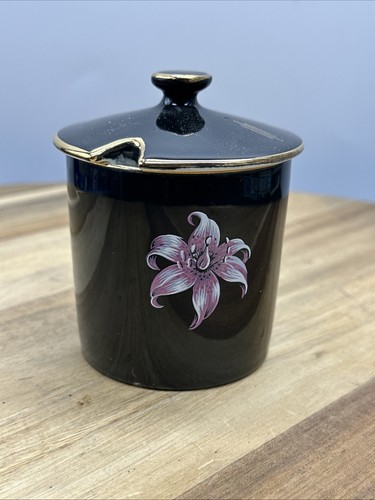 Vintage palissy glossy black - palissy,