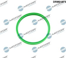 DRM01675 Dr.Motor Automotive