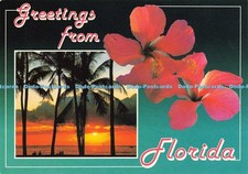 D216847 Greetings From Florida