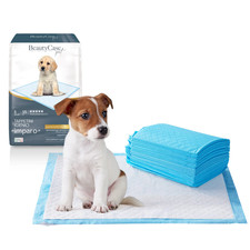 Beauty Case Puppy Training