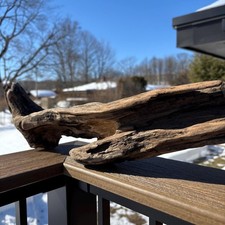 Curved hardwood driftwood - curved,