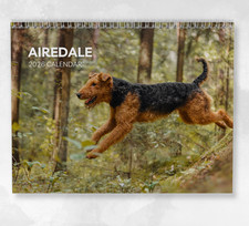 Airedale Calendar 2026: Monthly Wall Calendar with Notes, opens to A3 Size