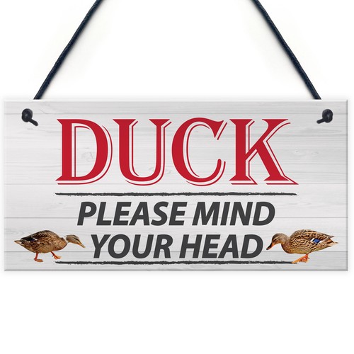 Duck please mind your - please,