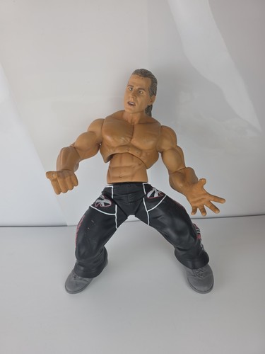 Wwe ring giants - giants, shawn