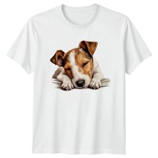 Jack Russell Terrier Puppy