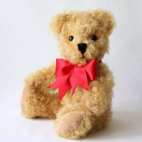 Canterbury bears gregory - canterbury, —