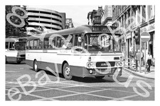 Bus Photograph WESTERN