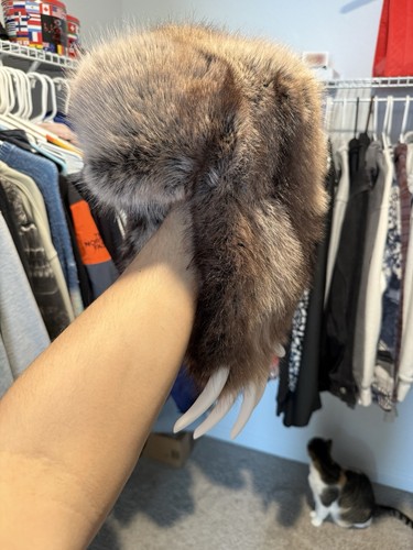 Bravest bear claw hat - claw,