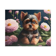 Yorkie Puppy Yorkshire Terrier