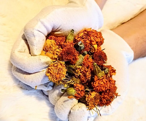 Organic whole dried calendula - whole,