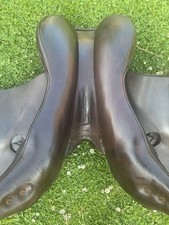 17.5 Inch Fair Fax, Jump