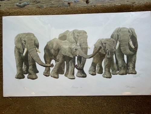Mary ann rogers signed limited - ann,