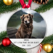 Pet Memorial Christmas Bauble