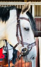 ANATOMICAL PADDED COMFORT HORSE BRIDLE  JUMPING & DRESSAGE BLACK BROWN LEATHER