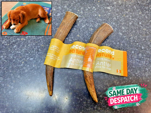Second nature antler puppy - antler, puppy/dog
